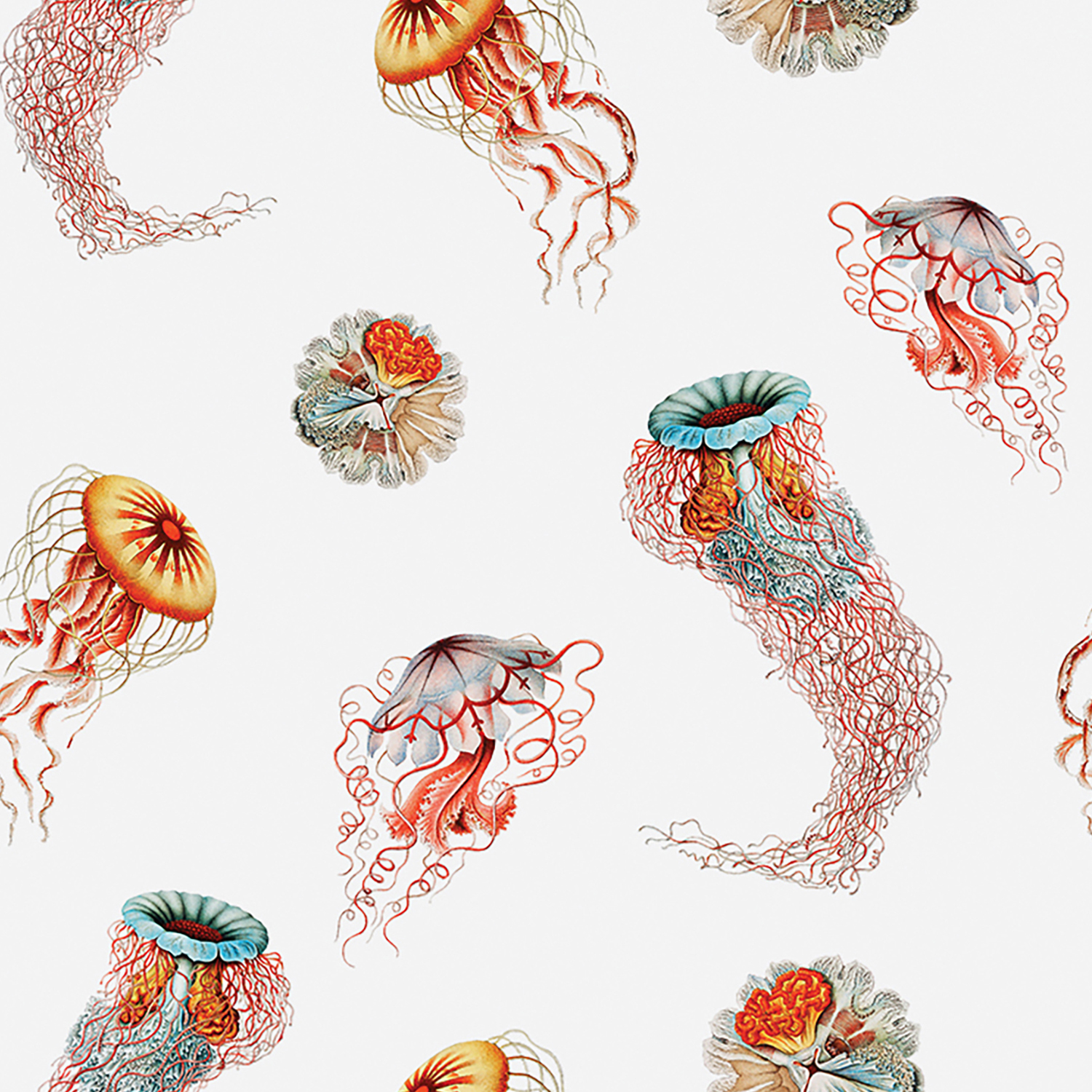 a pattern of jellyfishs and jellyfishs