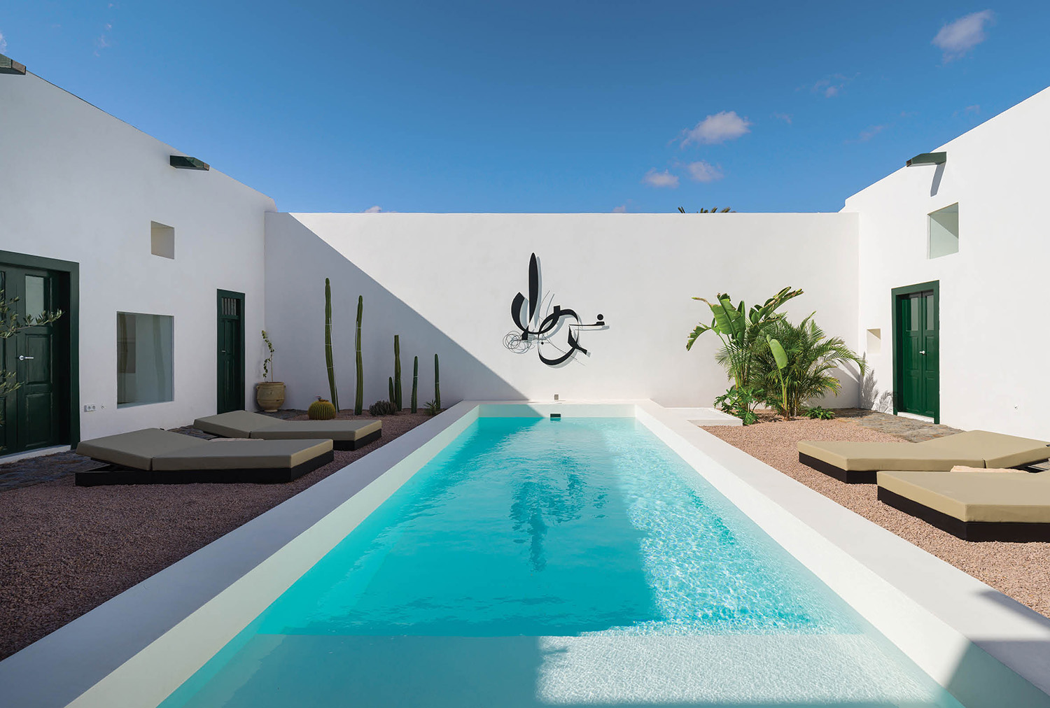 a pool with a cactus in the middle