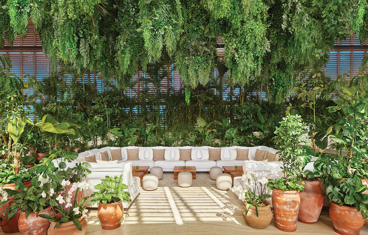 A living room with a couch and a lot of plants