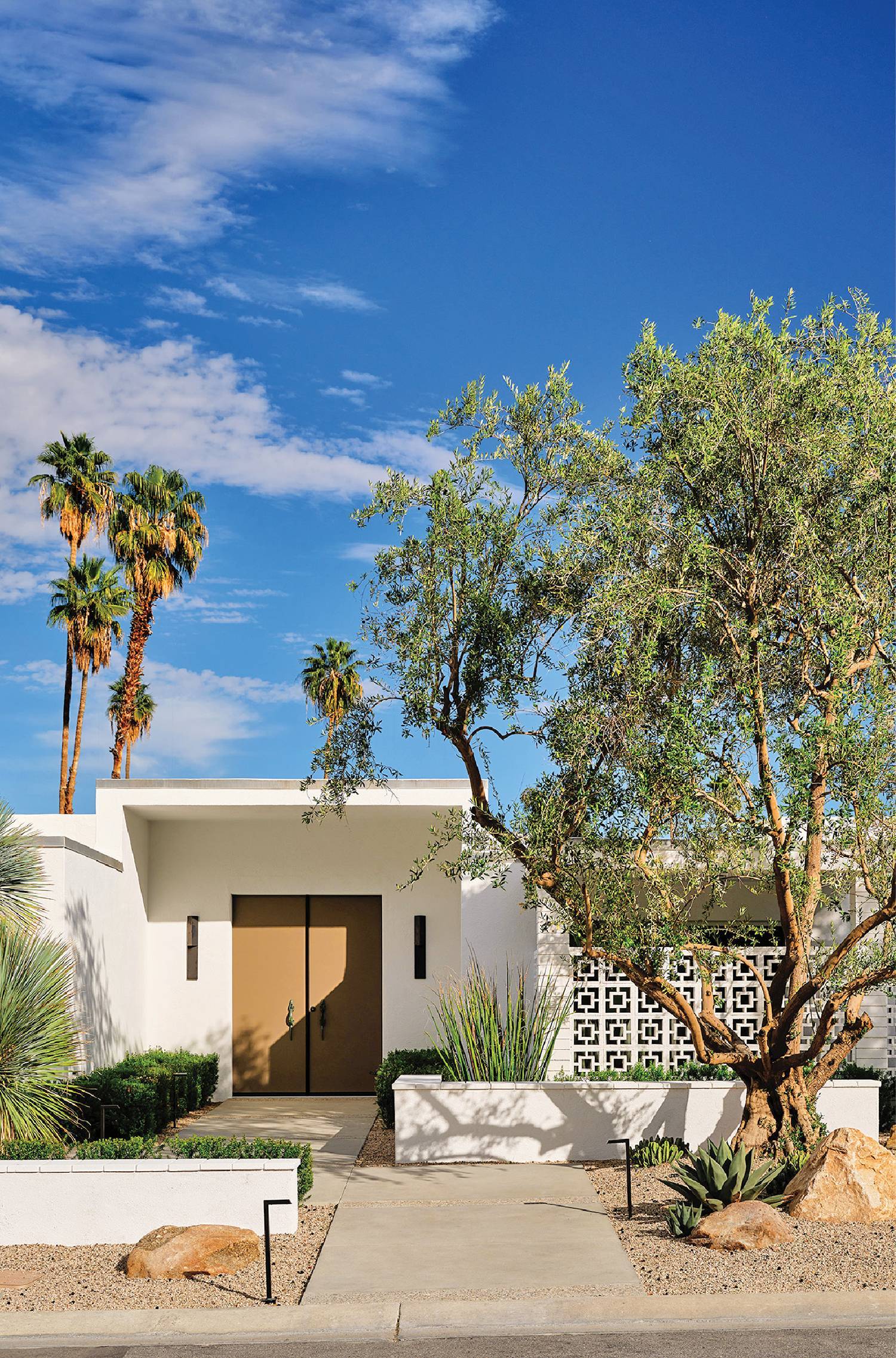 A white house with a palm tree in the front yard