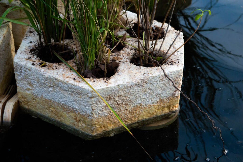 a floating planter