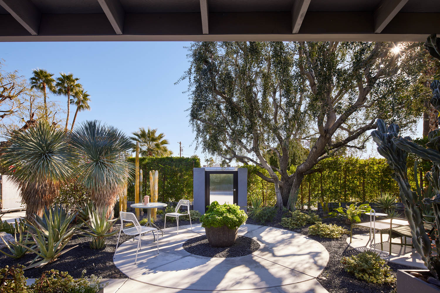 courtyard with multitude of plants and seating areas