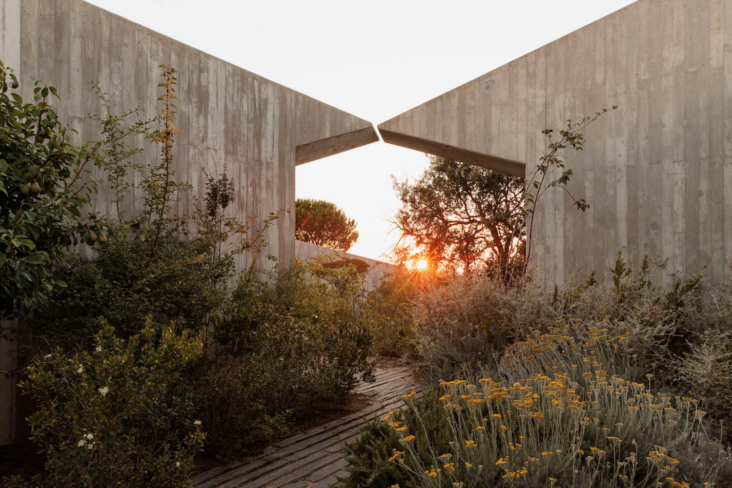 the exterior of the building and an outdoor garden